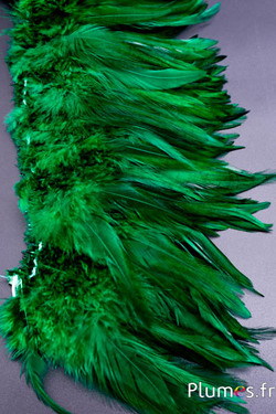 Frange coq - long. plumes 10-15 cm - émeraude